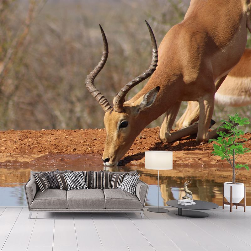 Photography Gazelle Mural Wallpaper for Sitting Room Decor Multiple Sizes Available