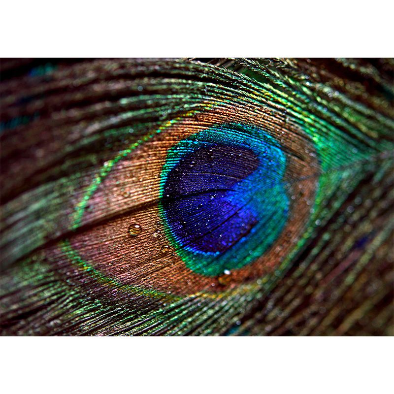 Peacock Feather Wall Mural Wallpaper Stain Resistant Wall Decor for Room