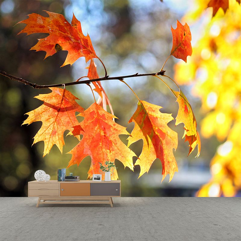 Fall Leaves Mural Wallpaper Moisture Resistant Wall Decor for Sleeping Room