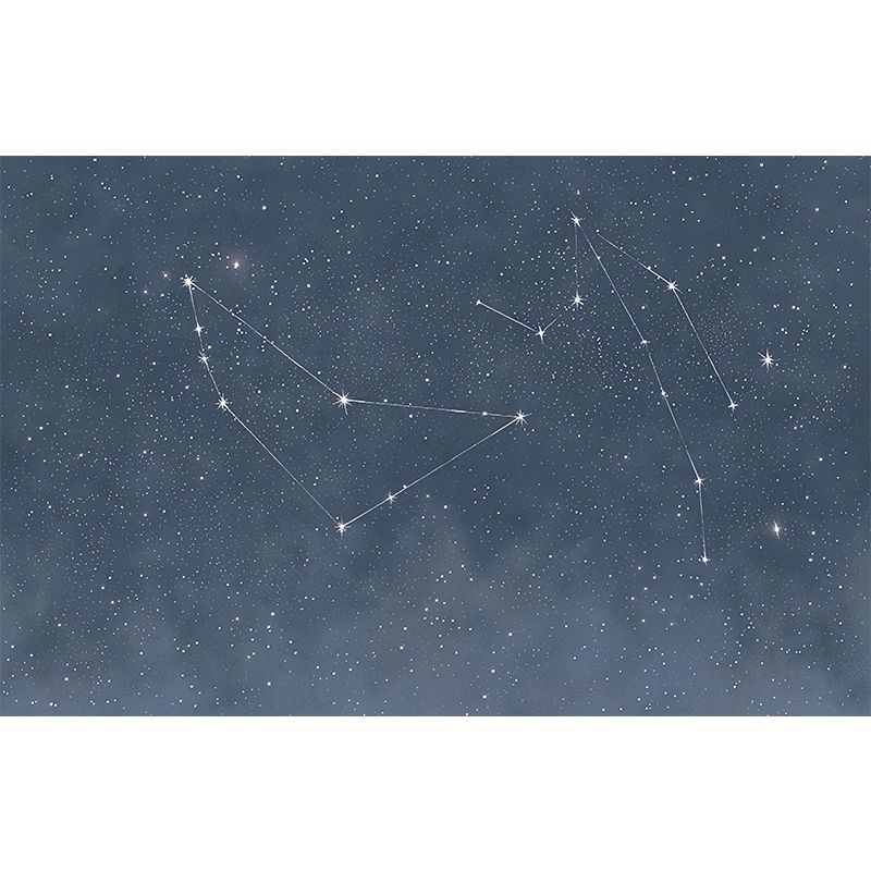 Contemporary Horoscope Mural Wallpaper in Dark Blue Living Room Wall Decor, Made to Measure