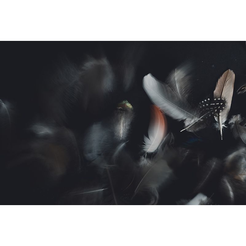 Soft Feathers Mildew Resistant Wallpaper Photography Sleeping Room Wall Mural