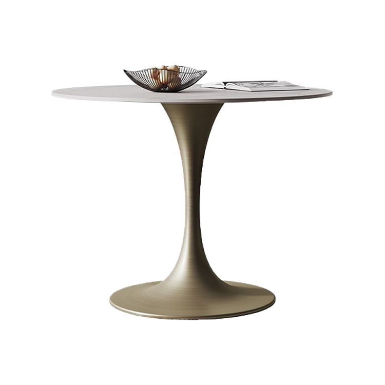 Round Tulip Base Dinette Table Traditional Luxury Dining Room Table for Home