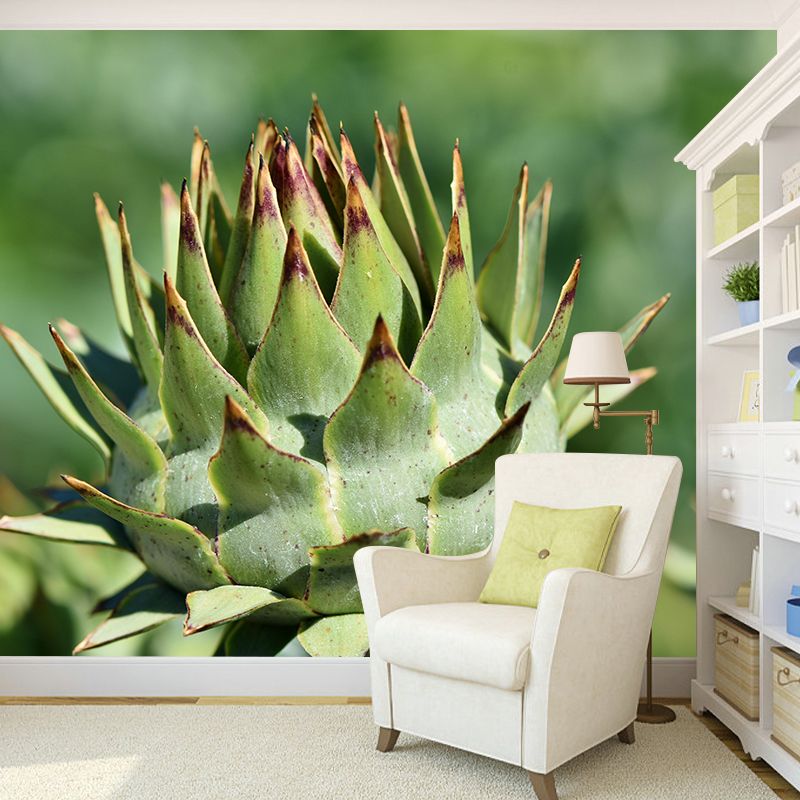Artichoke Painting Mural Decal Modern Mildew Resistant Wall Covering for Decoration