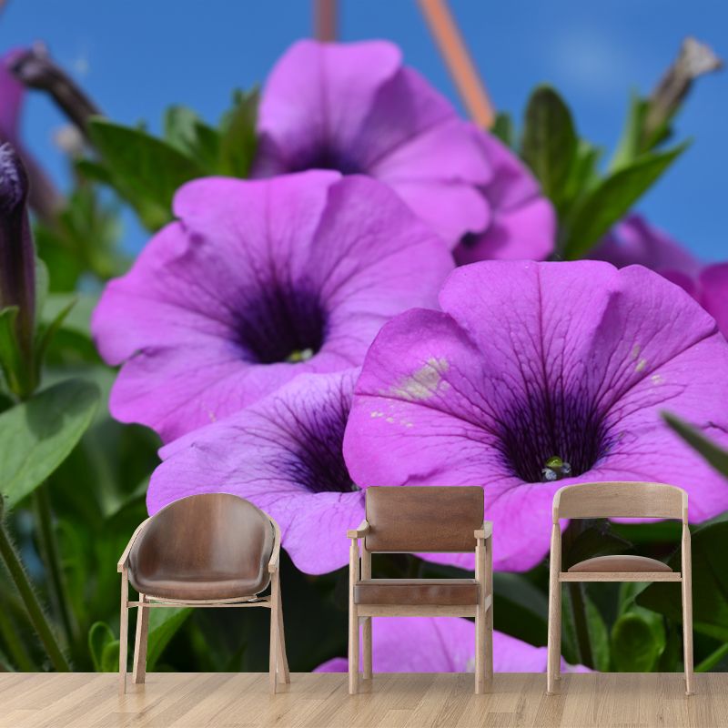 Morning Glory Mural Wallpaper Contemporary Bathroom Wall Covering, Waterproofing