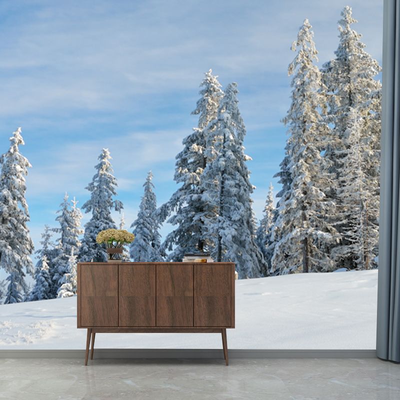 Photography Snowfield Cypress Mural Full-Size Wall Decor Above Bed, Personalized Size