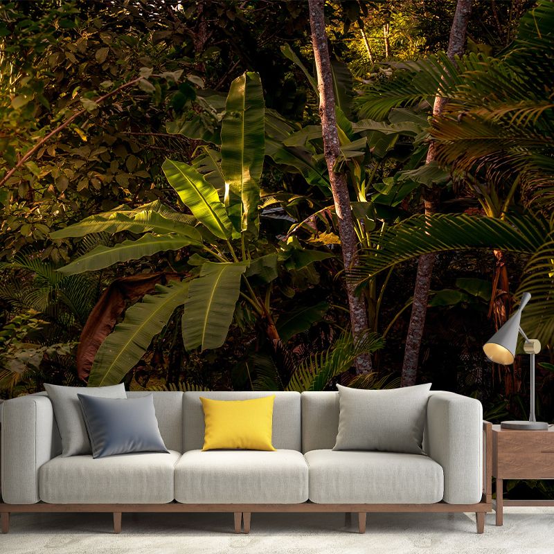 Modern Style Photography Wall Mural Wallpaper Forest Bedroom Wall Mural