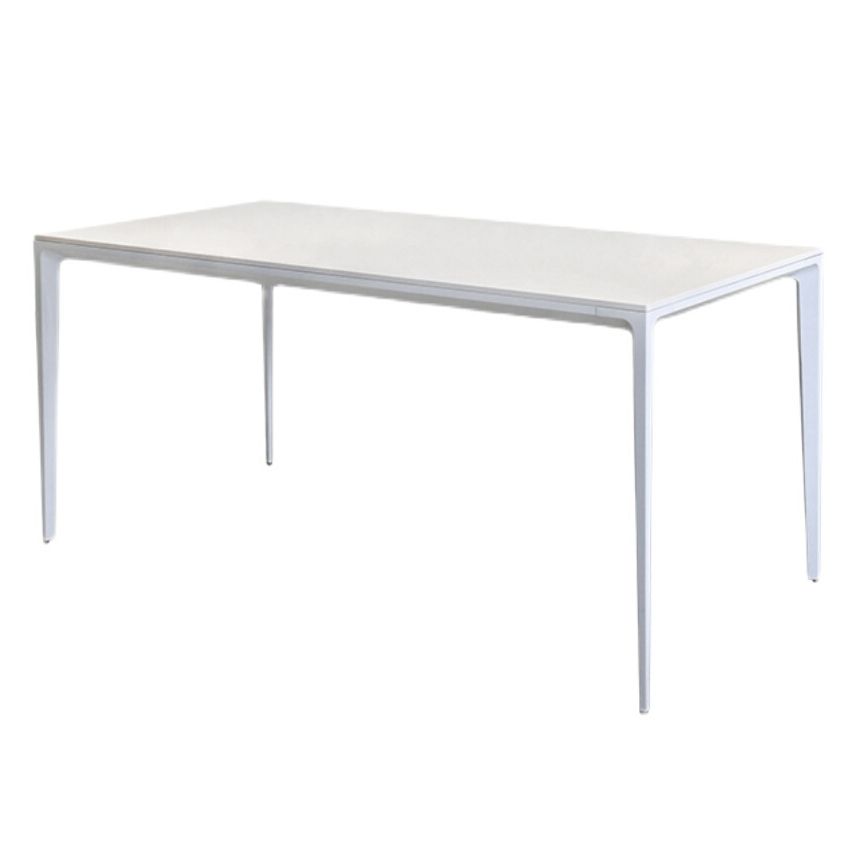 Contemporary Sintered Stone Top Kitchen Dining Set Rectangle Shape Standard Dining Set in White