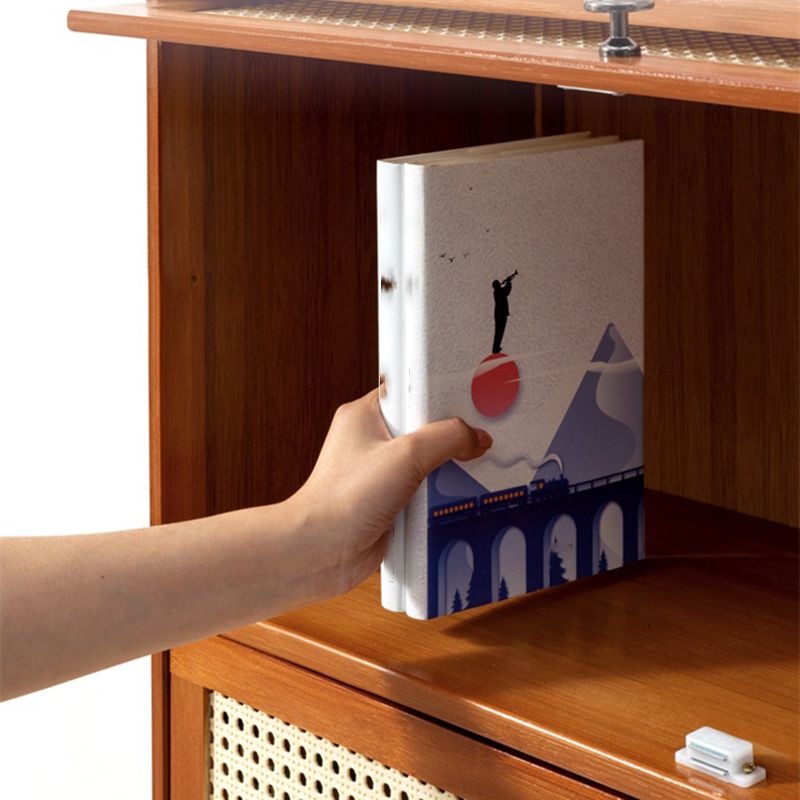 Contemporary Simple Rectangular Bamboo Cabinet with Doors in Brone