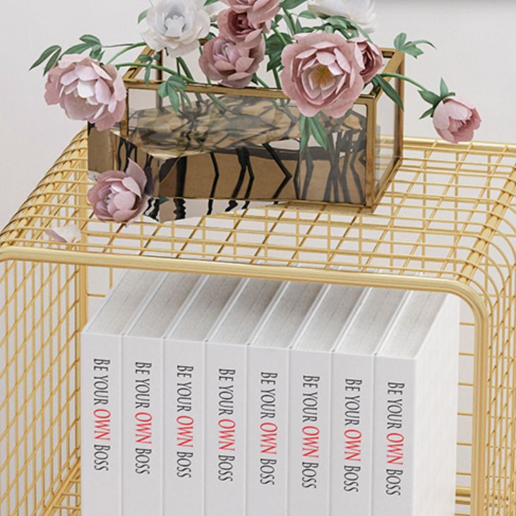 Glam Closed Back Bookcase Metal Standard Bookshelf with Shelves