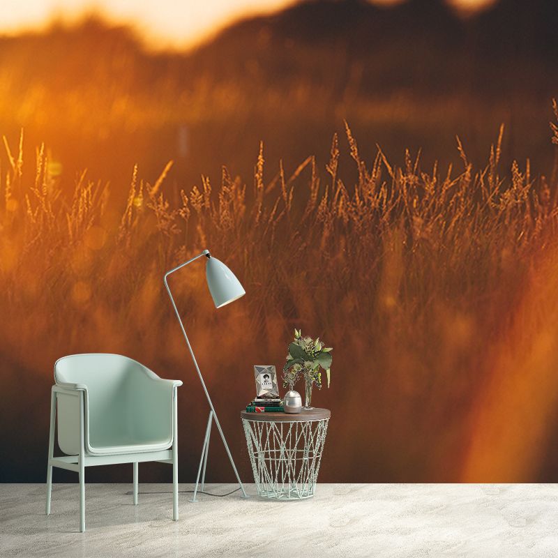 Beautiful Photography Mural Wallpaper Wheat Field Indoor Wall Mural