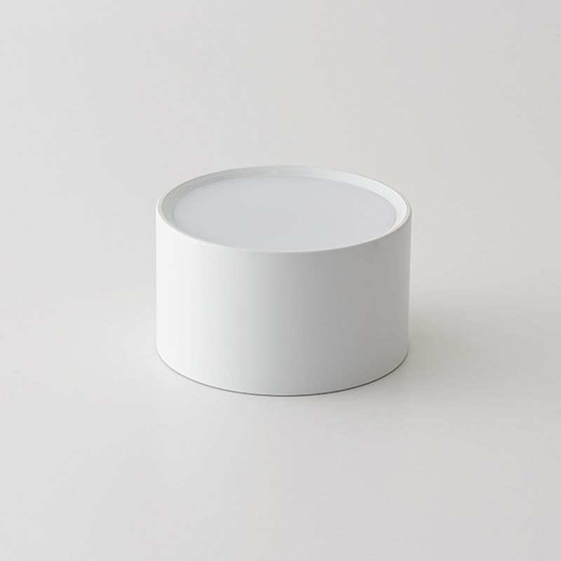 Moderne beknopte LED-plafondlamp smeedijzeren cilindrische inbouw met acrylkap