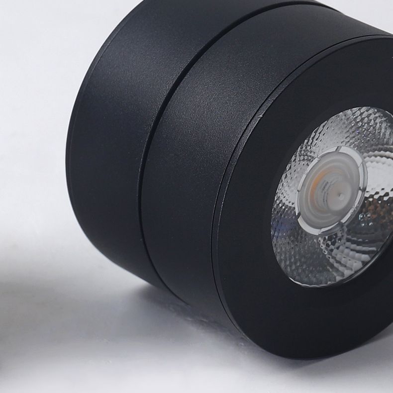 Modern Creative LED Rotatable Ceiling Light Aluminium Cylindrical Flush Mount with Clear Glass Shade