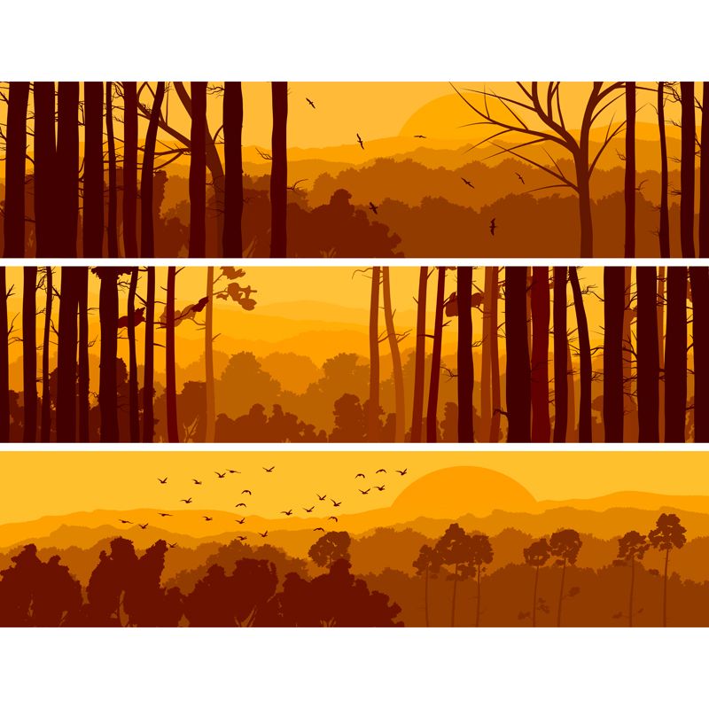 Nightfall Forest Wall Mural Decal Yellow Contemporary Wall Covering for Accent Wall