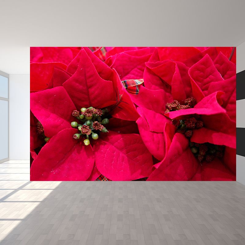 Contemporary Poinsettia Wall Mural Moisture Decorative Eco-friendly for Home Decor