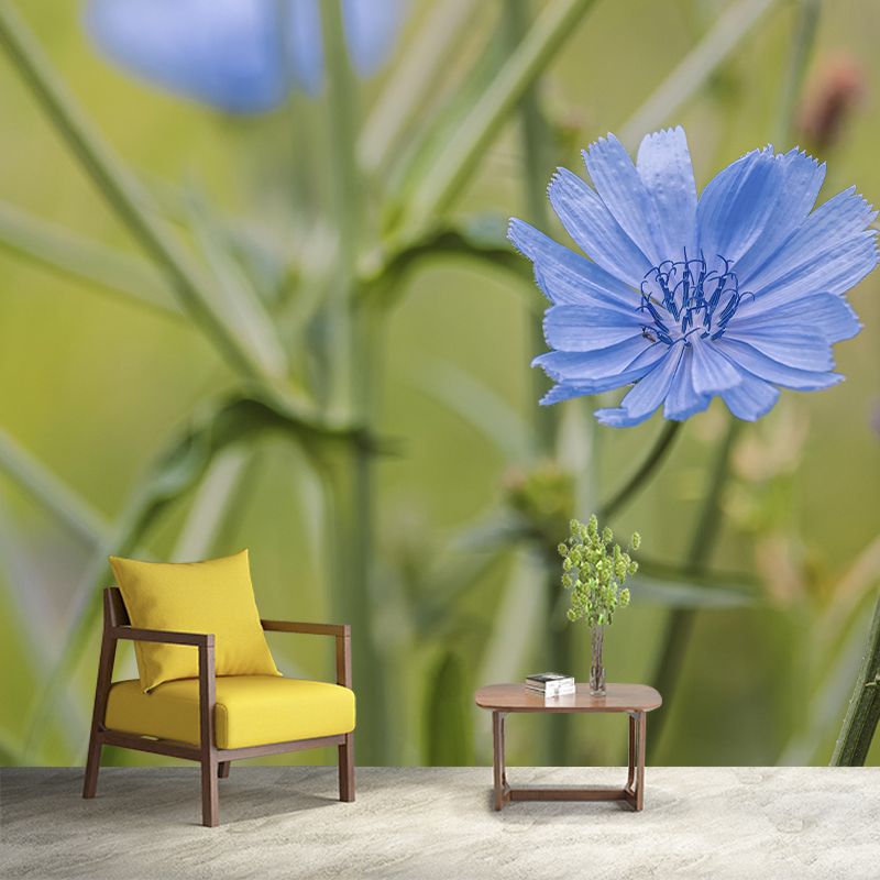 Chicory Mural Wall Covering for Living Room Decorative Mildew Resistant Wallpaper