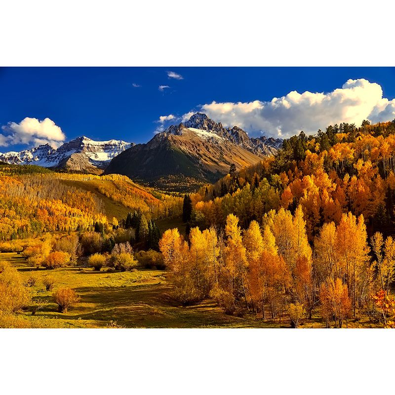 Photography Wall Mural Wallpaper Forest Sitting Room Wall Mural