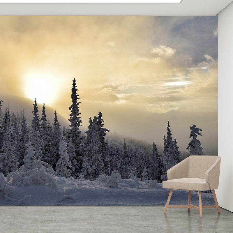 Contemporary Photography Style Forest Mural Wallpaper Mildew Resistant Wall Art