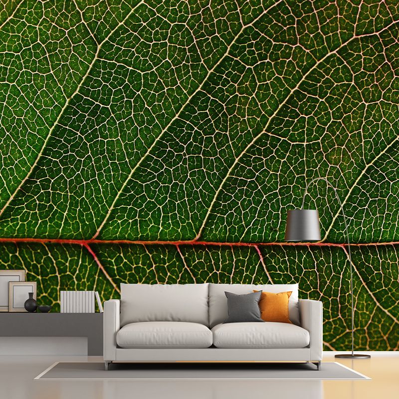 Decorative Wall Mural Wallpaper Plant Sitting Room Wall Mural