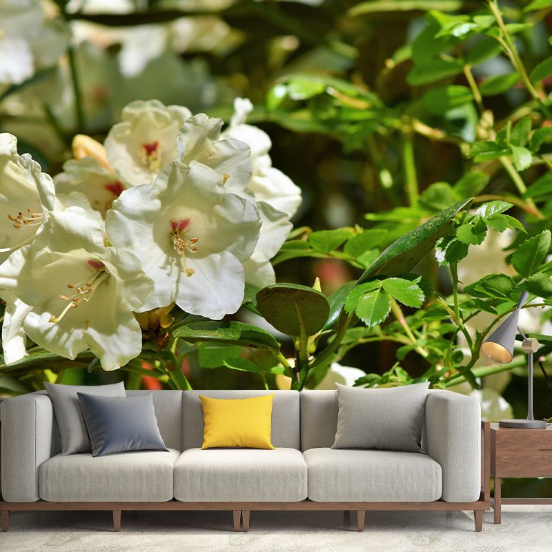 Modern Rhododendron Mural Wallpaper Stain Resistant Wall Covering for Living Room
