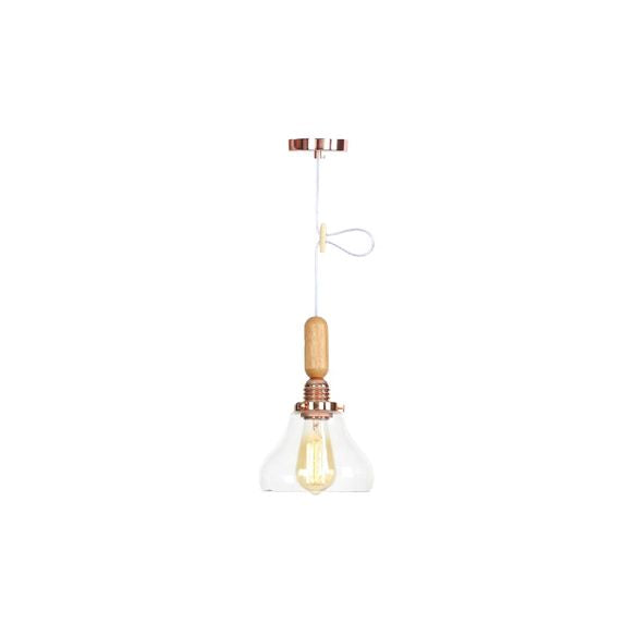 Globe/Cone/Small Bell Pendant Lighting Vintage Clear Glass 1 Licht Roségoud/Chrome hangende lamp met verstelbaar koord
