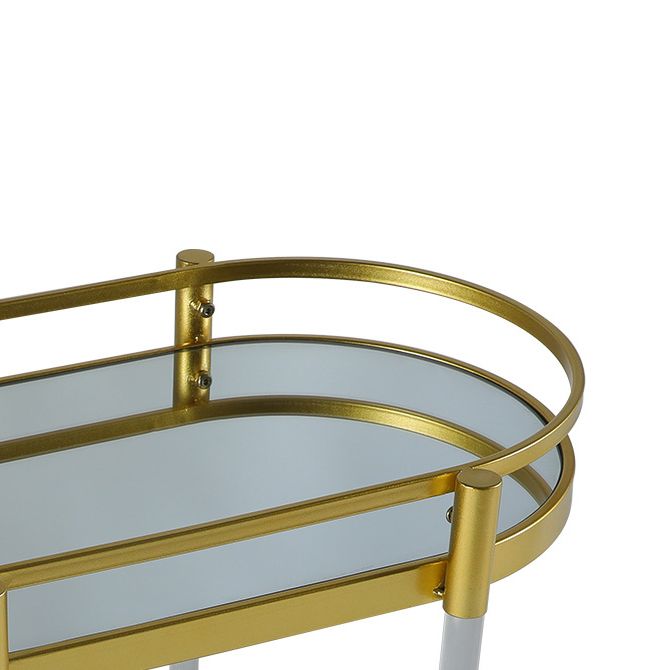 Modern Style Oval Metal Prep Table 29.53"H Rolling Glass Prep Table for Home Use