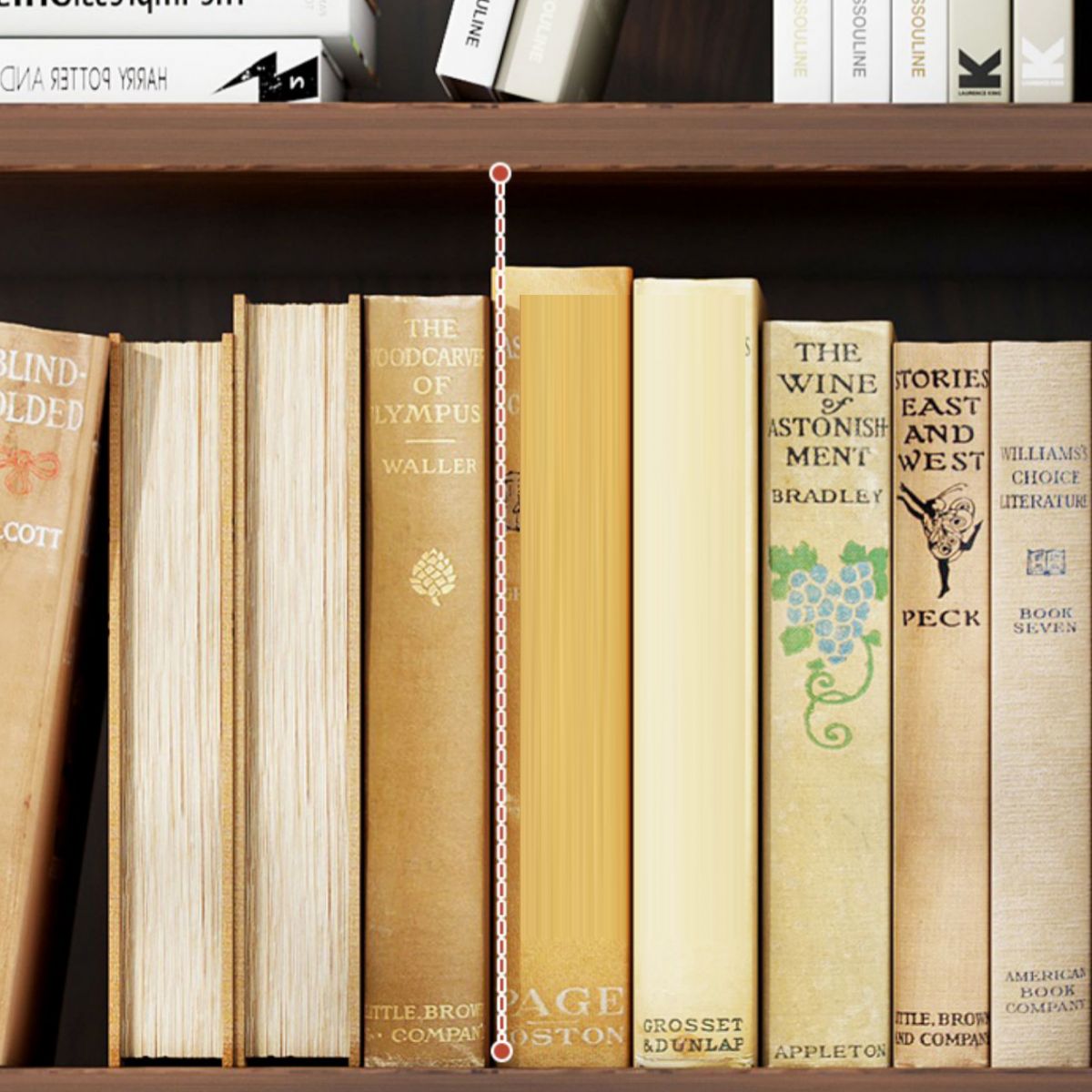 Closed Back Modern Style Bookshelf Wood Bookcase for Home Office