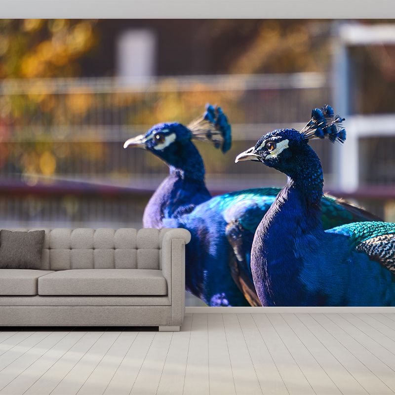 Blue Peacock Mural Decal Modern Style Washable Home Decor, Custom Size