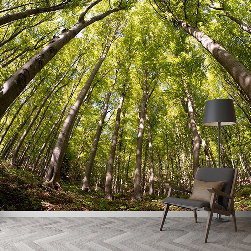 Nature Wall Mural Forest Landscape Mildew Resistant Wall Decor, Personalized Size