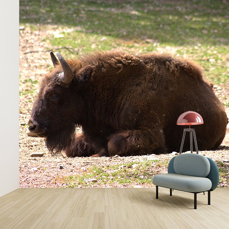 Bison Animals Mural Wallpaper for Sitting Room Decoration, Made to Measure