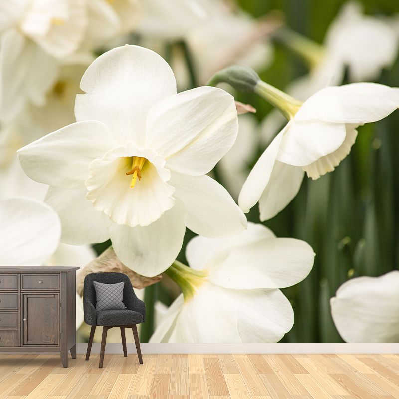 Blooming Daffodils Stain Resistant Wall Covering for Sleeping Room Decoration