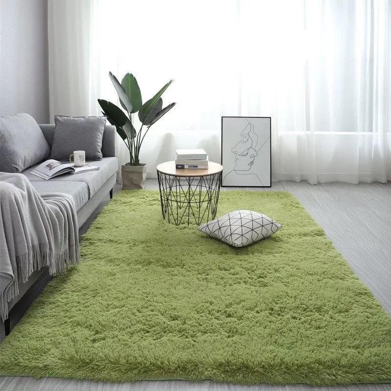 Novelty Plain Shag Carpet Polyester Indoor Rug Non-Slip Backing Area Carpet for Living Room