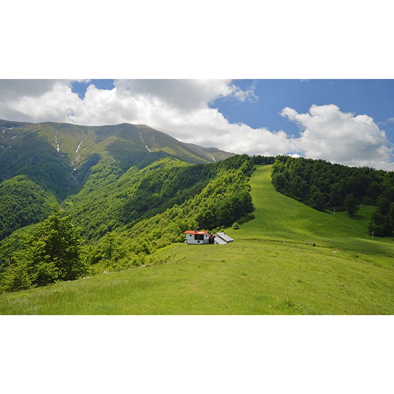 Mountain Landscapes Mural Wallpaper Mildew Resistant Living Room Wall Decor