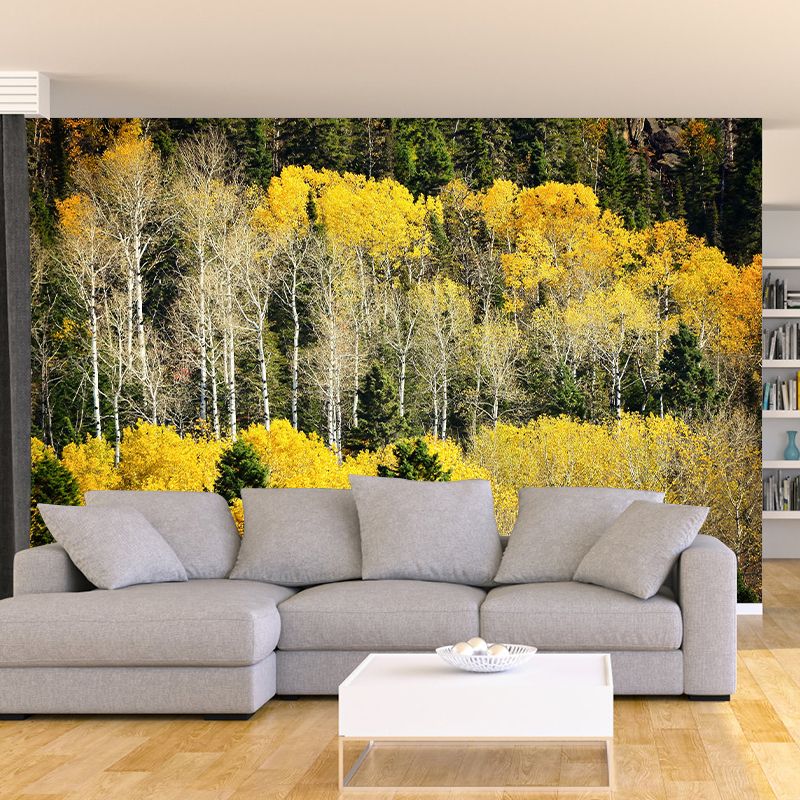 Contemporary Forest Mural Wallpaper Decorative Mildew Resistant Wall Art