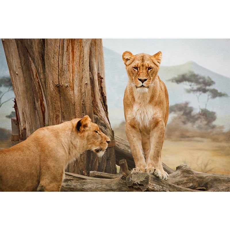 Lioness Mural Decal Contemporary Wallpaper Eco-friendly Wall Decor for Bedroom