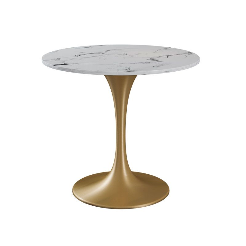 Modern 1/4/5 Pieces Dining Sintered Stone Dining Table Set with Metal Legs for Kitchen