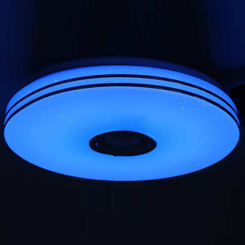 Flush Mount Ceiling Light Phone Control Light Bluetooth LED Light Bedroom Light