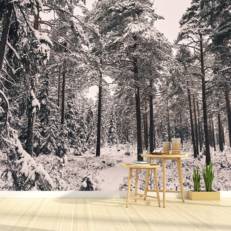 Horizontal Photography Forest Landscapes Mural Eco-friendly Wallpaper for Home Decor