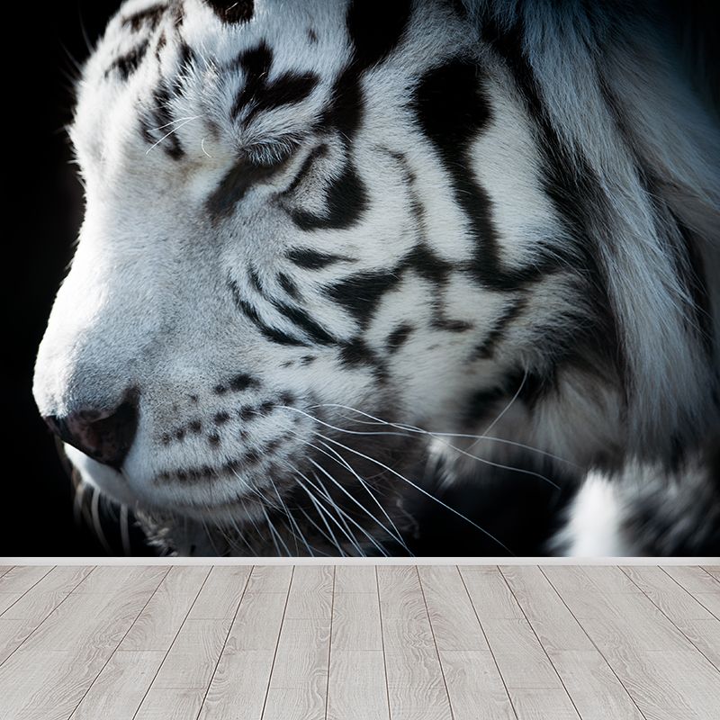 Contemporary Tame Asian Tiger Mural Wallpaper Black Nature Animals Wall Covering