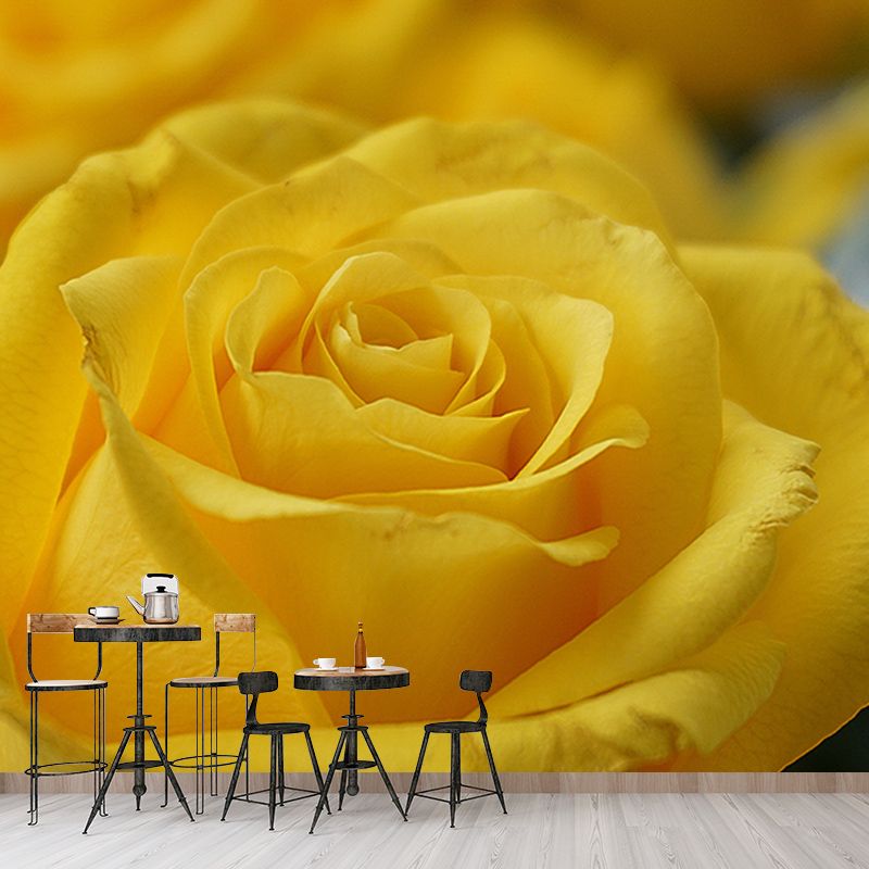 Photography Stain Resistant Mural Wallpaper Roses Indoor Wall Mural