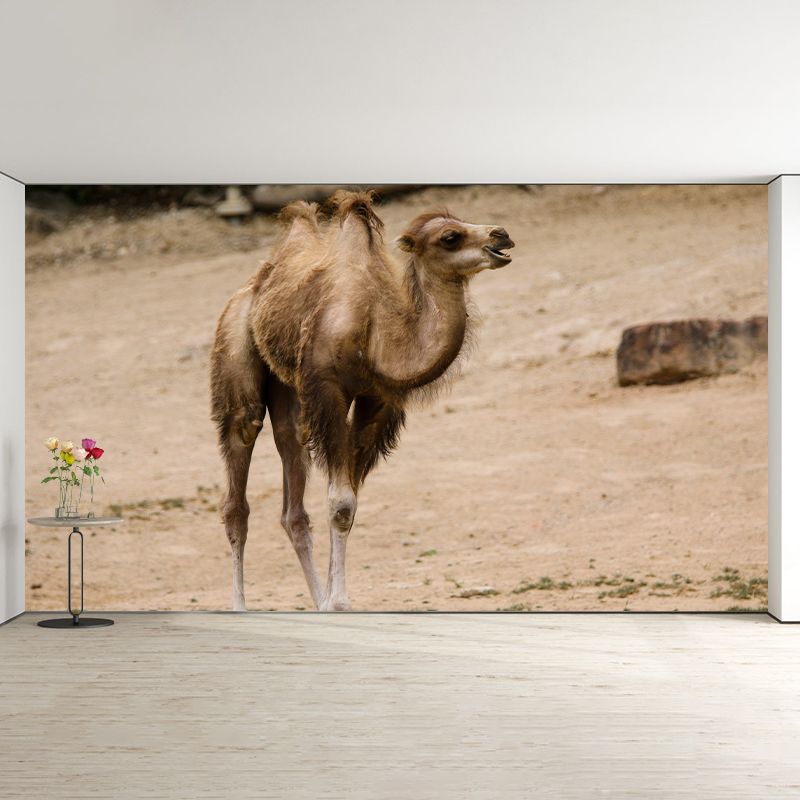 Desert Camel Wall Paper Moisture Resistant Living Room Wall Decor, Custom Size Available