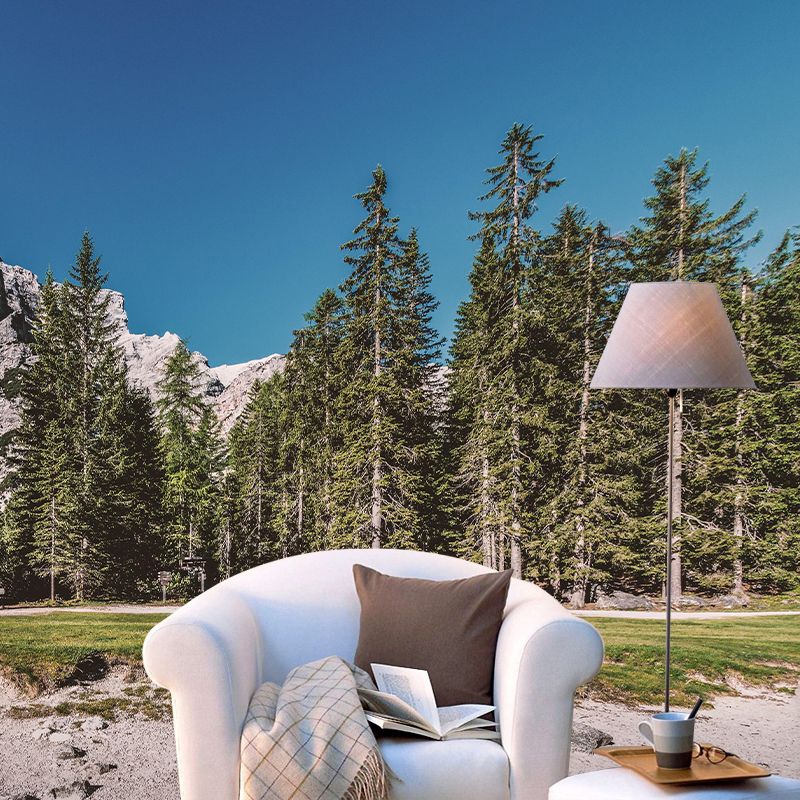 Nature Style Forest Wall Mural Wallpaper Photography Mildew Resistant for Home