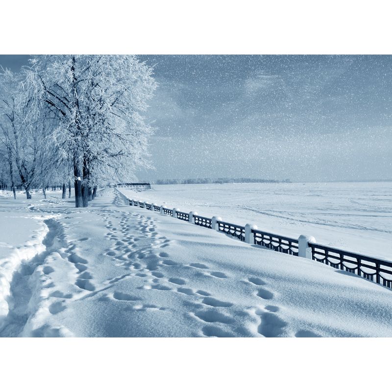 Washable Winter Frozen Lake Scene Mural Modern Non-Woven Cloth Wall Decor, Custom Made