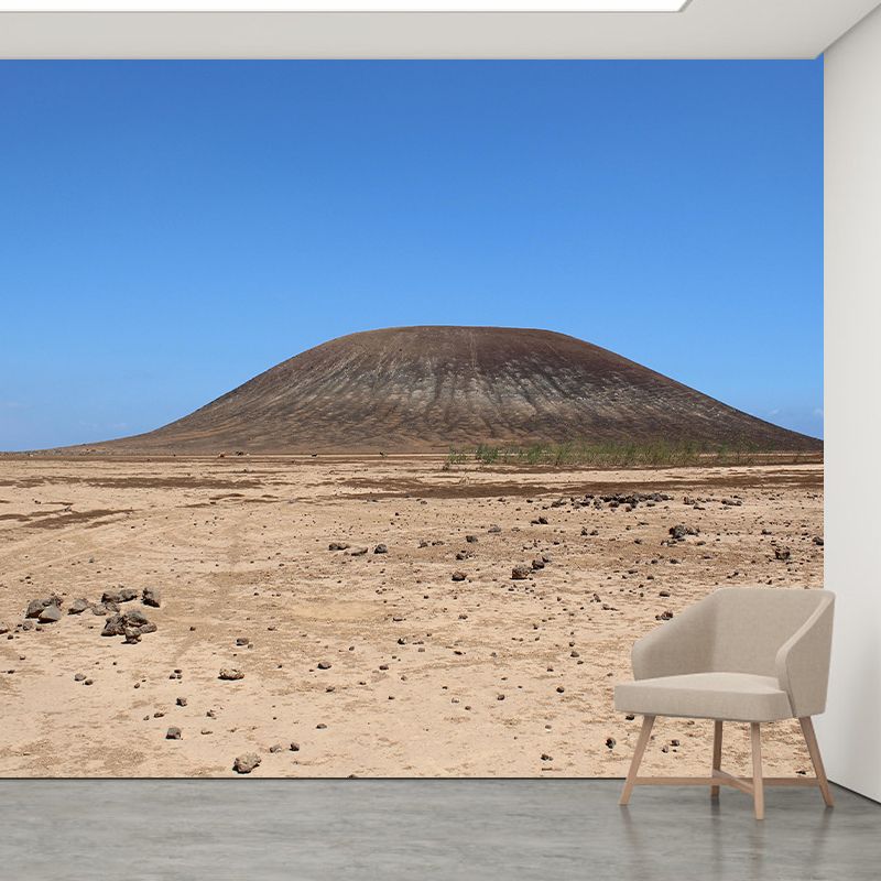 Contemporary Photography Style Desert Mural Wallpaper Mildew Resistant for Home