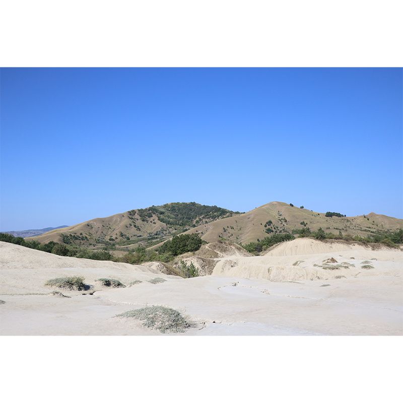 Dry Desert Wall Mural for Living Room Moisture Resistant Wall Decor, Personalized Size