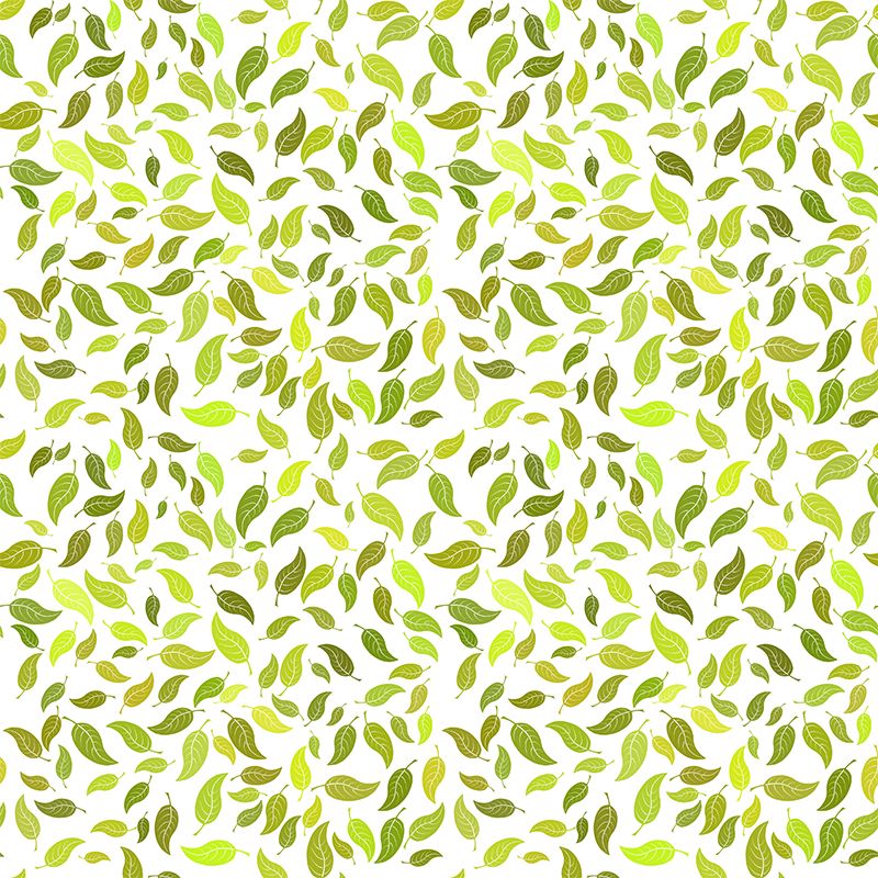 Environment Friendly Mural Wallpaper Plants Illustration Indoor Wall Mural