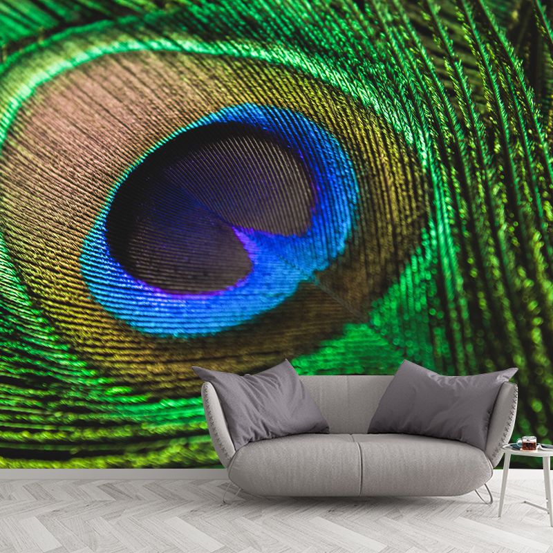 Peacock Feather Wall Mural Home Decor Mildew Resistant for Sitting Room