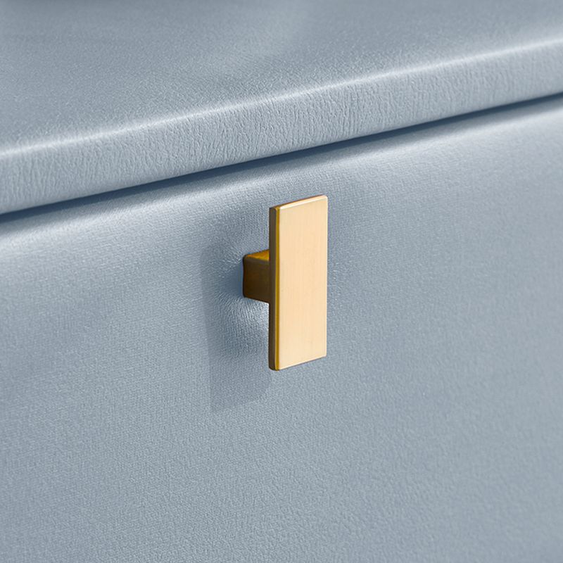 Modern Style with Two Drawers and a Choice of Color Leather Nightstand