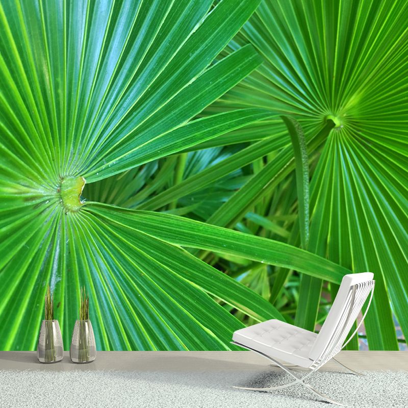 Alluring Wall Mural Tropical Plant Leaf Printed Drawing Room Wall Mural
