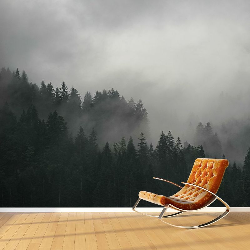 Photography Forest Landscapes Mural Eco-friendly Wallpaper for Home Decor