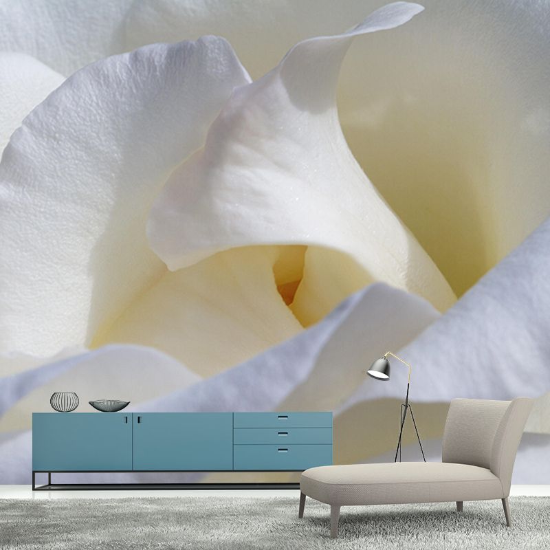 Beautiful Close-up of Rose Mural Wallpaper Photography Horizontal Wall Decor for Home